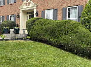 Willie J.'s Lawn Maintenance service result