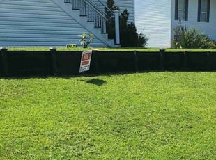 Angel P.'s Lawn Service service result