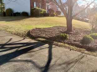 Leaf Removal by Vicki Douglas for Jawaid H. in Powder Springs, GA