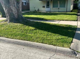 Walt M.'s Lawn Mowing Service service result