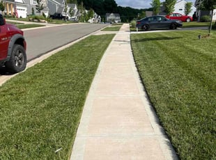 Robert B.'s Lawn Mowing service result