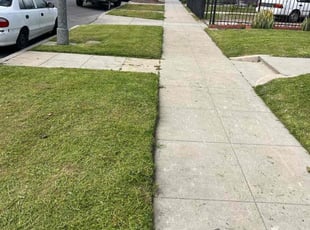 William M.'s Lawn Service service result