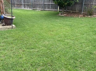 Irina G.'s Lawn Care service result