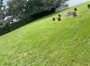 Pat N.'s Lawn Mowing service result