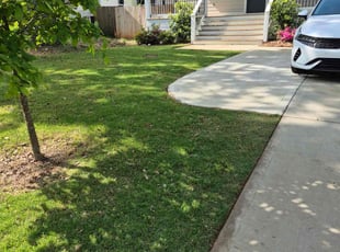 Tykeica M.'s Lawn Service service result
