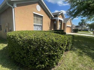 Bush Trimming by Martin Byington for Angela C. in Orlando, FL