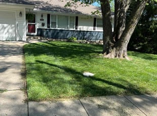chris W.'s Lawn Maintenance service result