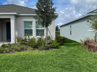 Birgetta H.'s Grass Cutting service result
