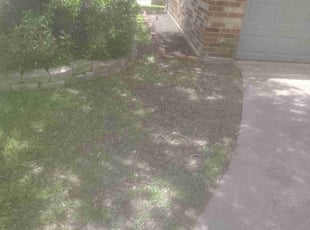 Weeding by Juan Rubio for Jacob S. in Channelview, TX