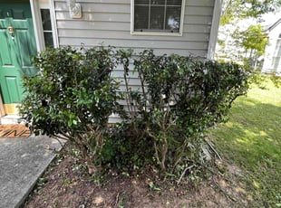 Bush Trimming by Markeiven Ogburn for Amanda M. in Riverdale, GA