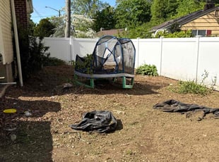 Cleanups by Nicholas Harvey for Joe S. in East Northport, NY