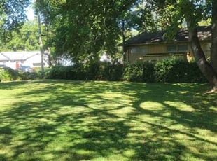 Jeni A.'s Lawn Maintenance service result