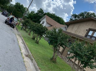 Bush Trimming by Darren Young for Lourdes M. in Virginia Beach, VA