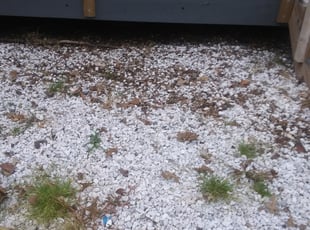 Leaf Removal by Bernard Frampton for Wynthia O. in Dundalk, MD