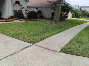 skylar k.'s Lawn Mowing service result