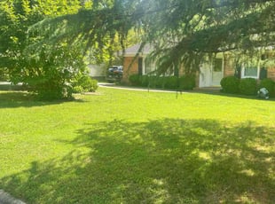 David M.'s Lawn Service service result