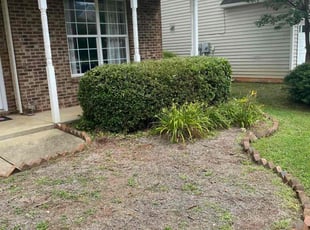 Bush Trimming by Brandon Gorham for Natalie G. in Holly Springs, NC