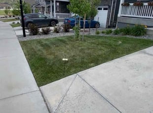 Cleanups by Johnny Ashlock for Rob B. in Castle Rock, CO