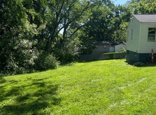 Ashraf S.'s Lawn Mowing service result