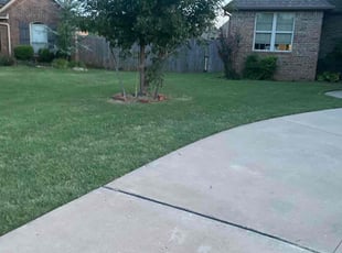 Georgia C.'s Lawn Maintenance service result