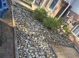 Weeding by Baltazar Diaz for Matthew S. in Newark, DE