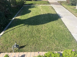 William F.'s Lawn Service service result
