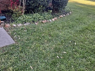 Bush Trimming by Heriberto Perez for Katrina C. in High Point, NC