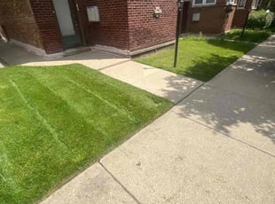 Walter A.'s Lawn Care service result