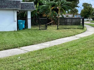 Mathew W.'s Lawn Mowing service result