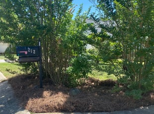 Mulching by Daniel Reyes for Brian R. in Fort Mill, SC