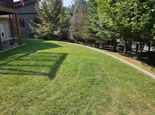 Jan G.'s Lawn Mowing Service service result