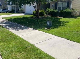 Jaffi H.'s Lawn Mowing service result