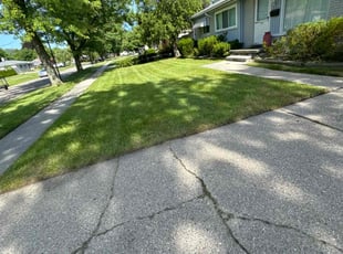 Sharon S.'s Lawn Care service result