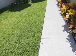 Chet H.'s Yard Cutting service result