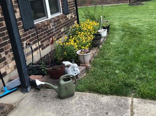Mulching by Stephen Reynolds for Judy N. in Dayton, OH