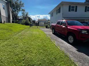 Tammy Y.'s Lawn Service service result