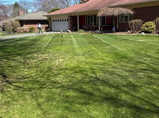 Sandra P.'s Lawn Mowing service result
