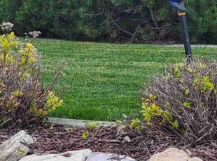 Bush Trimming by Tiffany Wangsgaard for Angela M. in Layton, UT