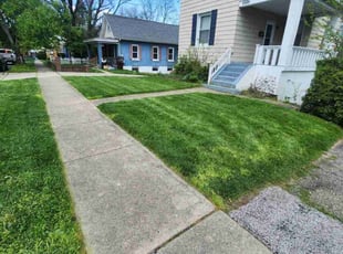 kobie j.'s Lawn Care service result