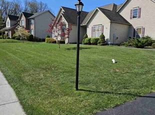 Sarise Y.'s Lawn Mowing service result