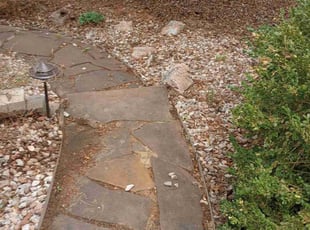 Leaf Removal by Alley Parker for Abby D. in Arvada, CO