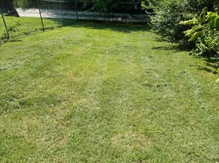 Jeremy O.'s Lawn Service service result