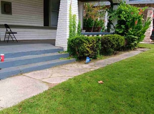 Bush Trimming by Frederick Tarden for Sydney M. in Memphis, TN