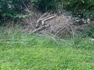 Cleanups by Sedrick Wesley for Ethan J. in Kansas City, MO