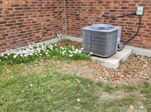 Weeding by Rene Gabriel Ramirez for Meagan H. in Pflugerville, TX
