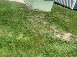 Leaf Removal by David Cardillo for Justin J. in Warwick, RI