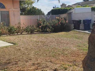 Weeding by Antonio Ruiz for Mackenzie P. in Riverside, CA