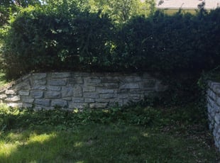 Bush Trimming by Ras Tosh Tafari for Erin J. in Cincinnati, OH