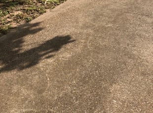 Cleanups by Luciano Rivera for Jon B. in Dallas, TX