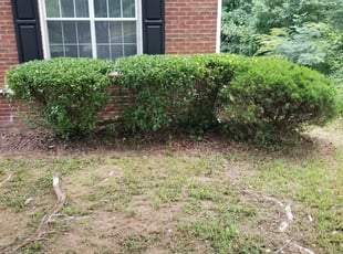 Landscaping by Marco Gonzalez for Josh P. in Marietta, GA
